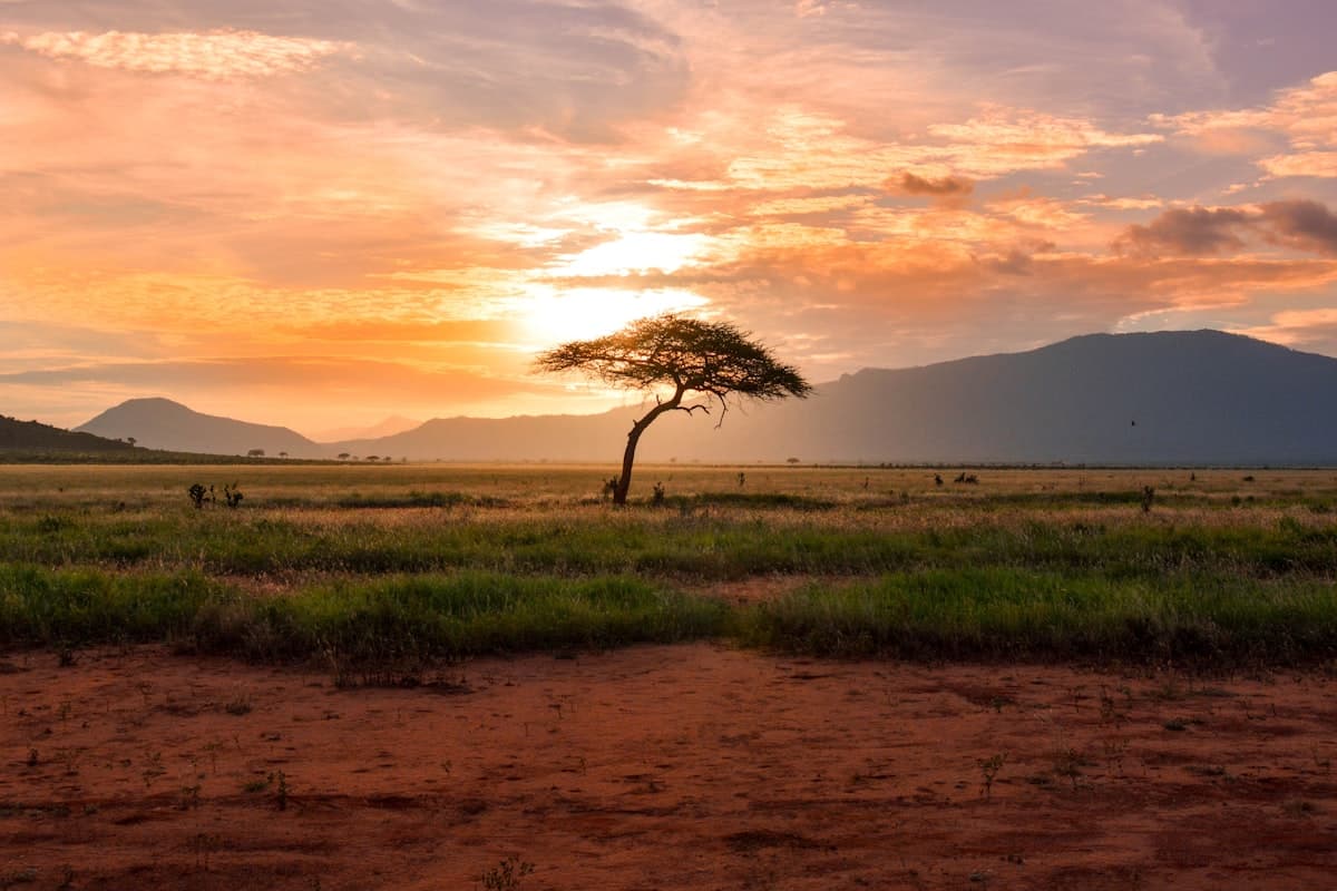 Namibia landscape