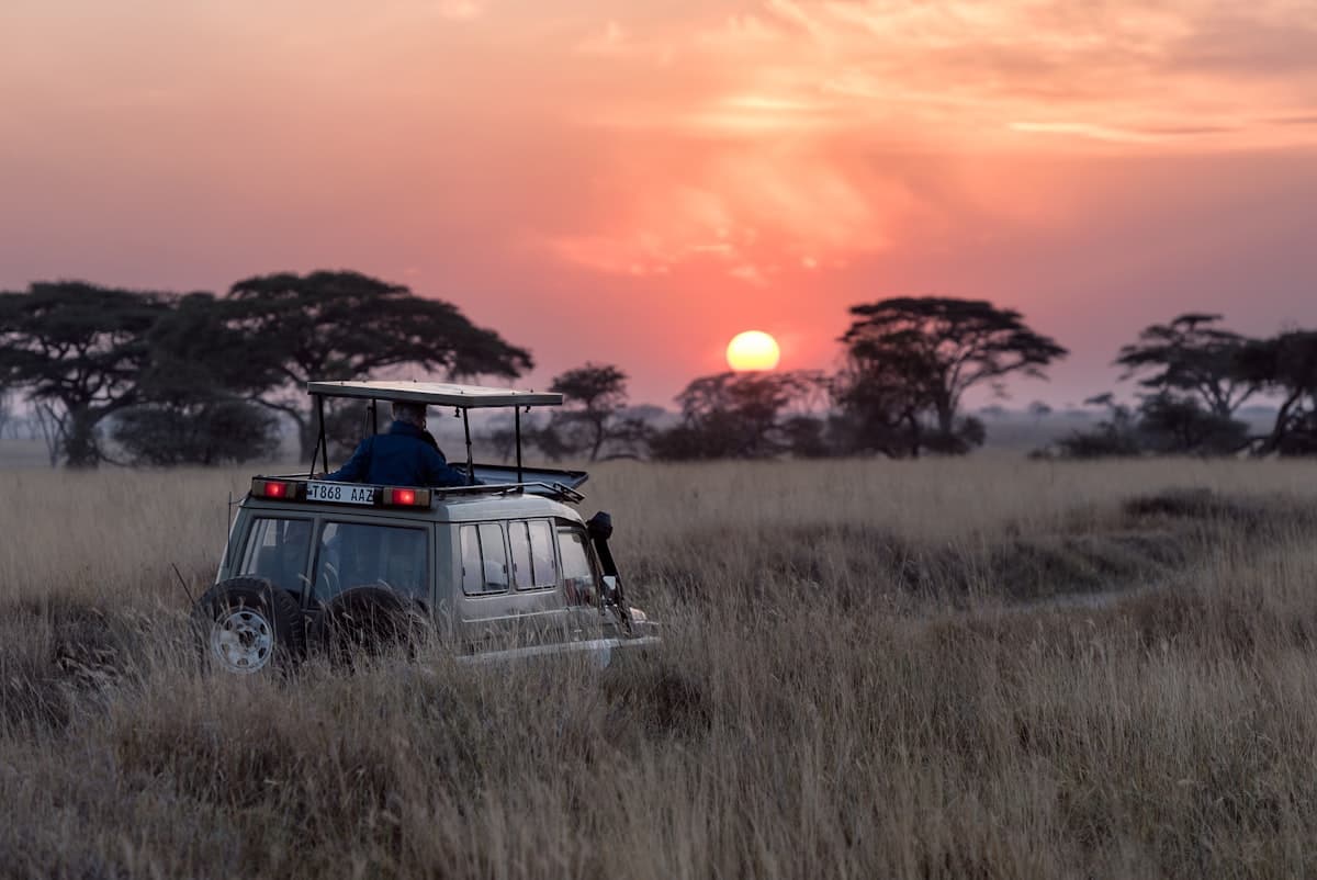 Tanzania landscape