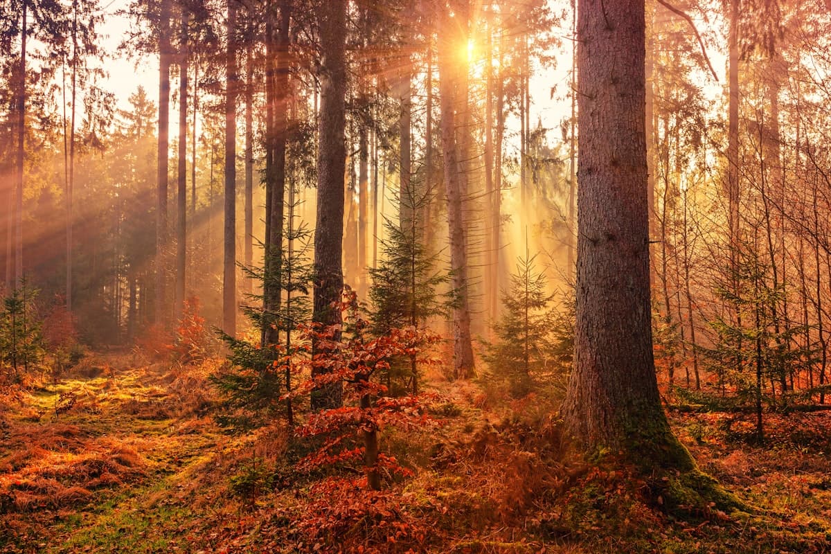 The Rise of Film Tourism: Sustainable Travel Through Cinema